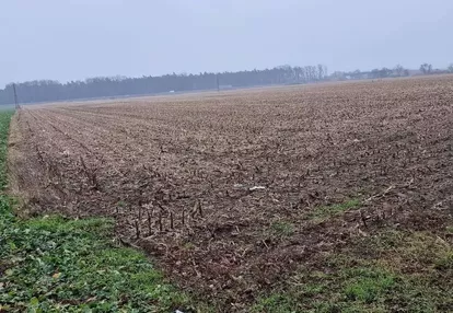 Sprzedam ziemie rolną 57,6453 ha.