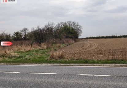 Duża działka rolna przy a8