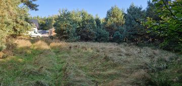 Działka budowlana z własnym lasem