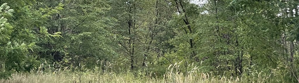 Działka budowlana 985 m² z mediami w markach