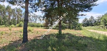 Działka przy lesie – natura, doskonała komunikacja