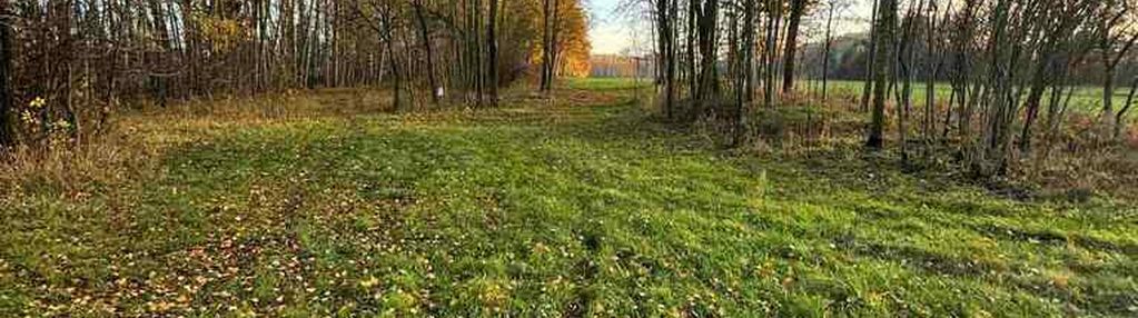 Działka bud-rolna łomnica -2,47 ha
