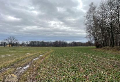 Szczere pole w zabłociu - cisza i spokój