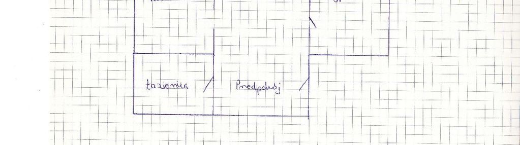 Po generalnym remoncie, duże mieszkanie- 2-pok