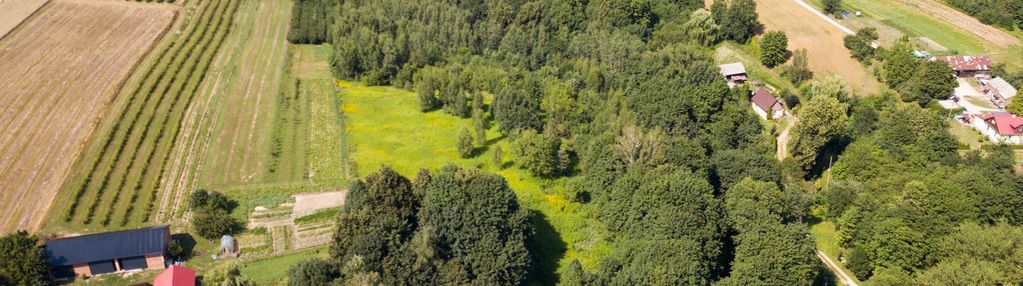 Działka siedliskowa okolice kazimierza aż 22572 m²