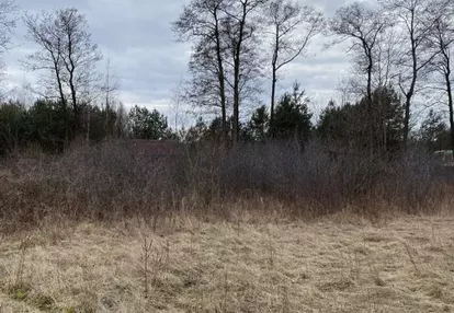 Działka na sprzedaż 1000m2