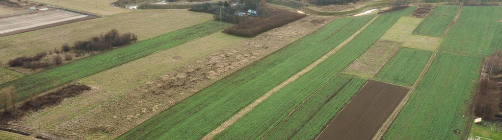 Idealna działka pod osiedle szeregówek – 1,25 ha