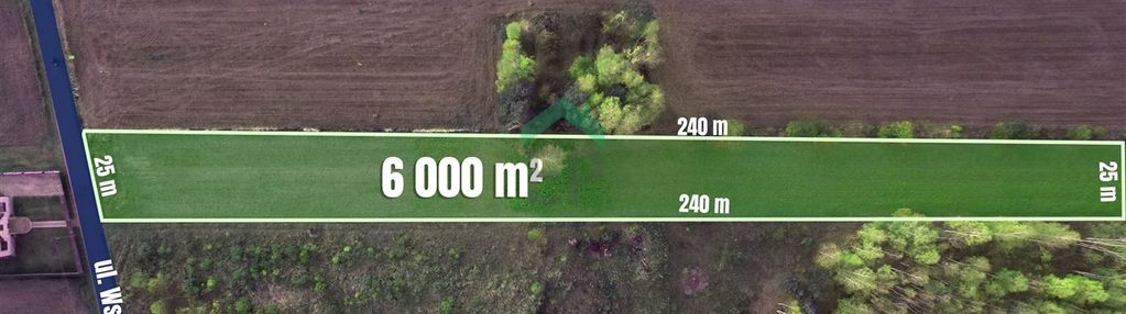 Duża działka w otoczeniu lasów