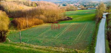 83ar wolności wz w trakcie las dojazd asfaltem