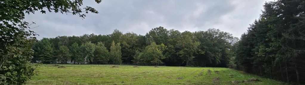 Szeroka działka idealna do budowy rozłożystego dom