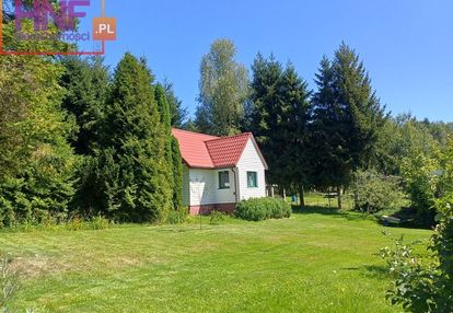 Działka 8,75ar z drewnianym domkiem tylicz
