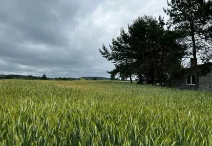 Działka na sprzedaż 4900m2