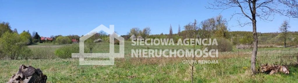 Na sprzedaż działka rolna 10005m2 buszkowy górne