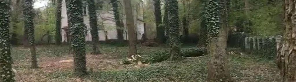 Milanówek, piekna dzialka