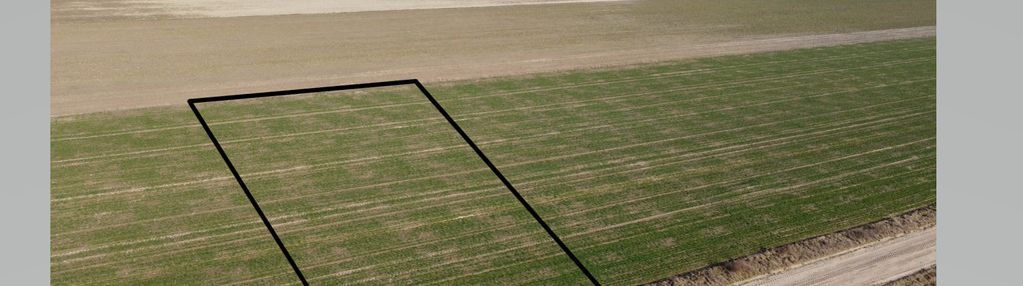 Na sprzedaż działka budowlana 1516 m² – czuryły