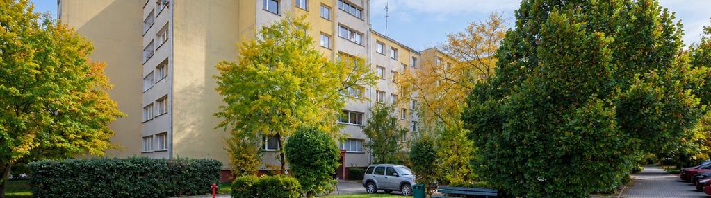 Pełen rozkład|loggia|piwnica|dwustronne