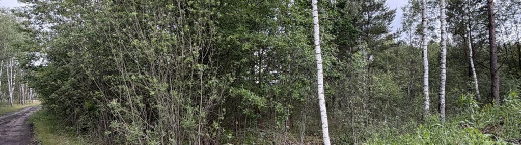 1.06ha za 44zł/m2 do negocjacji celinów