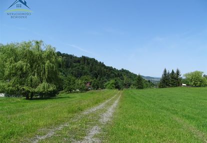 Bajkowe miejsce - cisownica k/ustronia