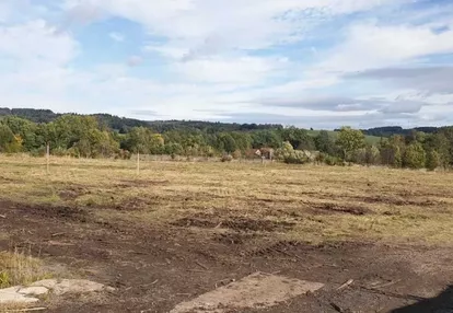 Działka na sprzedaż 900m2