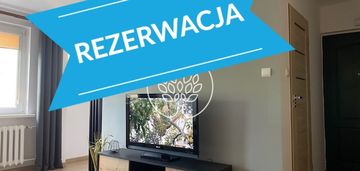 Przytulna kawalerka blisko umk od października