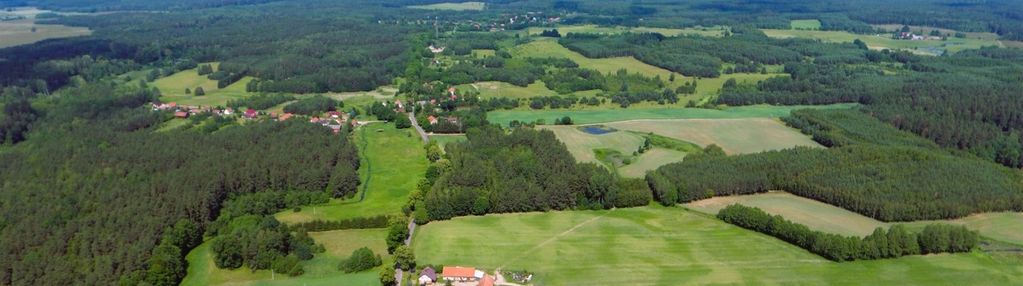 Działka w otoczeniu lasów, blisko miasta.