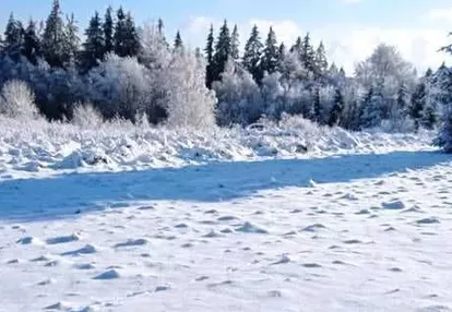 Działka na sprzedaż 1000m2