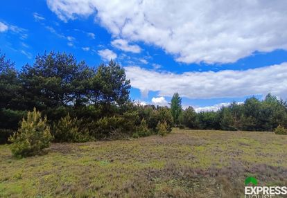5100m2 z wz wśród zieleni.