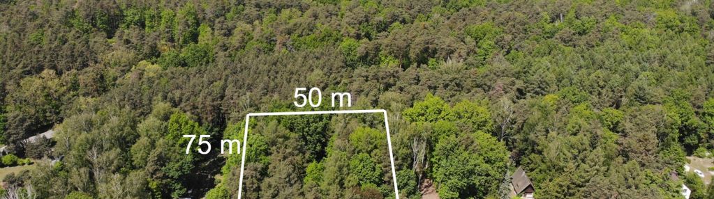 3800 m2 las, łoś, cisza, 20min na mokotów
