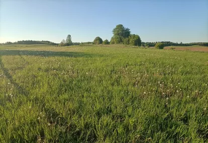 Działka na sprzedaż 3001m2