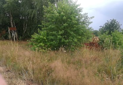 Działka 3500m2, zgierz