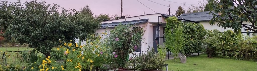 Piękna działka ROD z domkiem Aleksandrów KujawskI