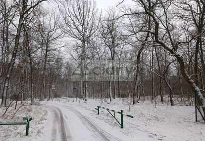 Przepiękne miejsce na choszczówce, 1562m