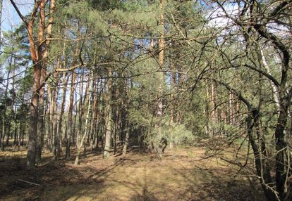 Działki budowlane nad zalewem zegrzyńskim