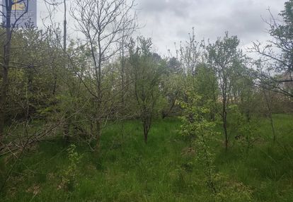 Górki duże tuszyn działki pod usługi mieszkania