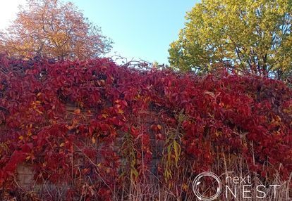 Działka pod 4 lokale i usługi