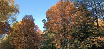 0 % prowizji !  gotowe !  tylko teraz mega rabaty