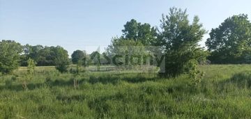 Warunki zabudowy blisko lasu. jest komunikacja!