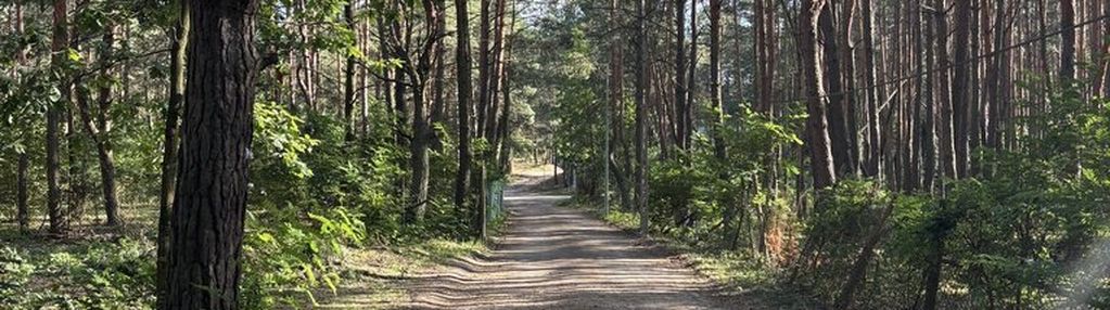 Działka budowlana w lesie, łosie koło radzymina