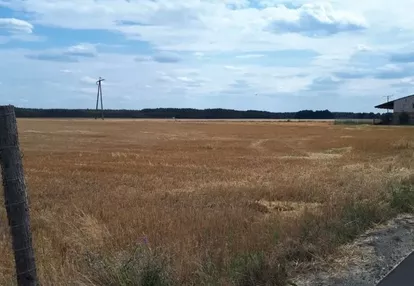 Działka na sprzedaż 1000m2