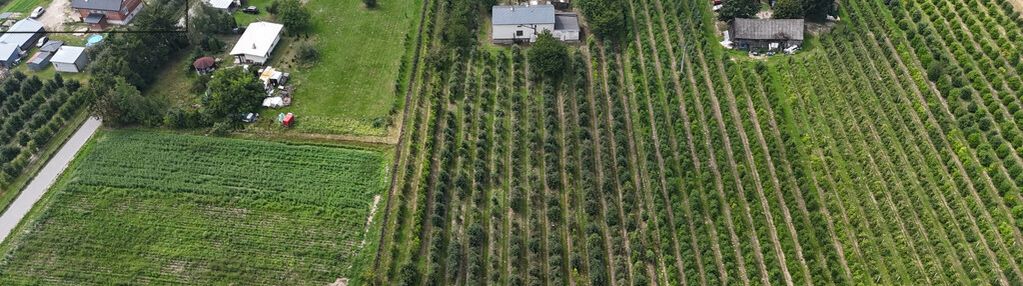 Na sprzedaż działka 0,9 ha z domem 280 m² – świdno