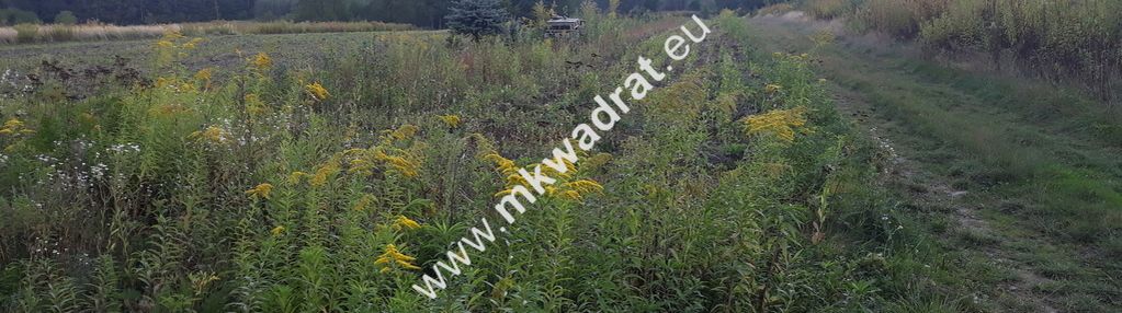 Atrakcyjna lokalizacja, ładna działka pęcice.