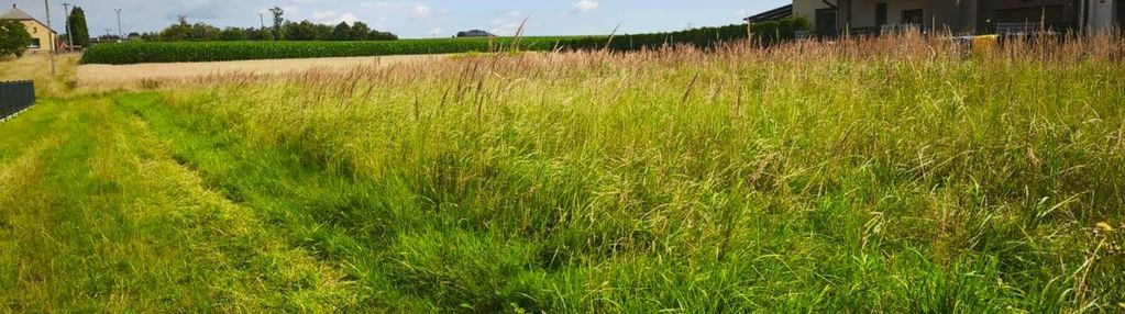 Działka pod zabudowę jednorodzinną - płaska