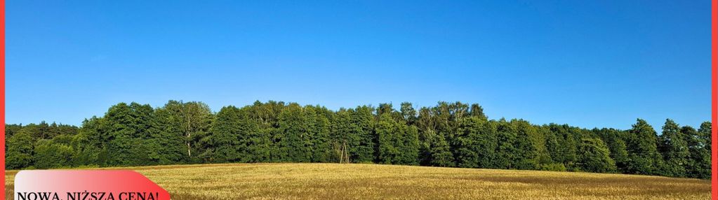 4 działki 160zł/m2 nekla niedaleko jeziora
