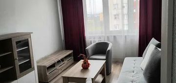 37m2/2pokoje/kuchnia/ piwnica