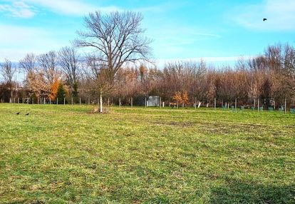 Działka budowlana-tarnów-czarna droga