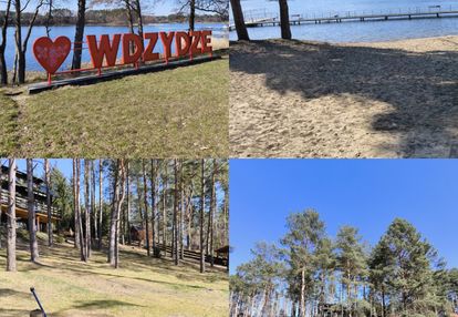Działka w otulinie lasów na sprzedaż!