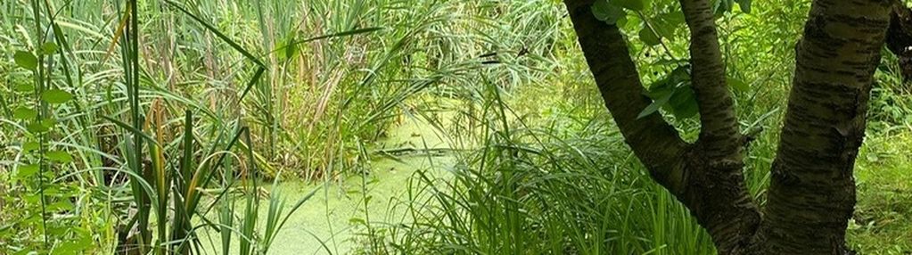 Dom z potencjałem + działka w cenie