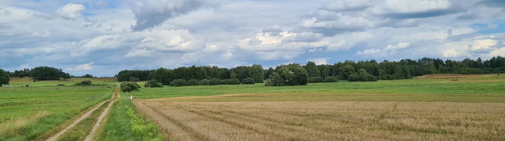 Działka w otulinie puszczy knyszyńskiej z wz