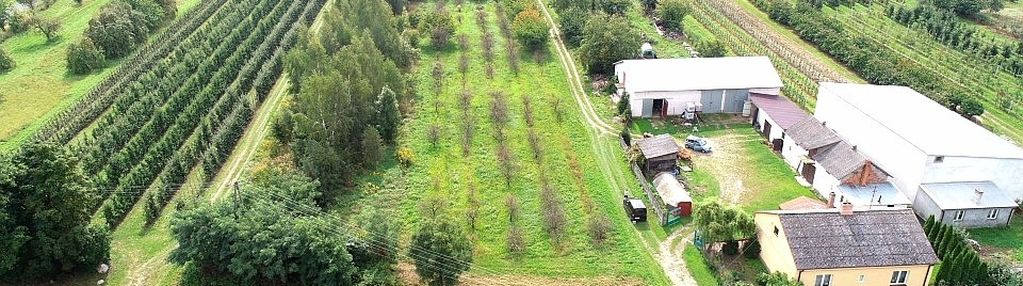 Działka rolno-budowlana, wola pękoszewska, 4,25 ha