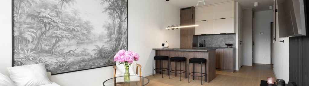 Apartament w śródmieściu, wysoki standard